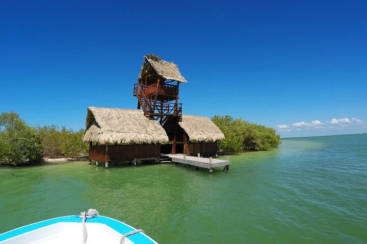 Three Islands Tour: Isla Pájaros, Yalahau & Pasión Island from Holbox photo 4