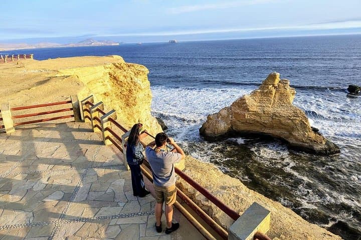 Paracas National Reserve Private Tour: Flamingos, Red Beach & Pink Lagoon (Half-Day)
