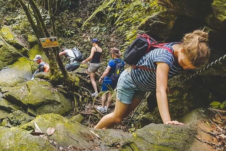 authentic-guadeloupe-multilingual-local-guide-experience photo 3