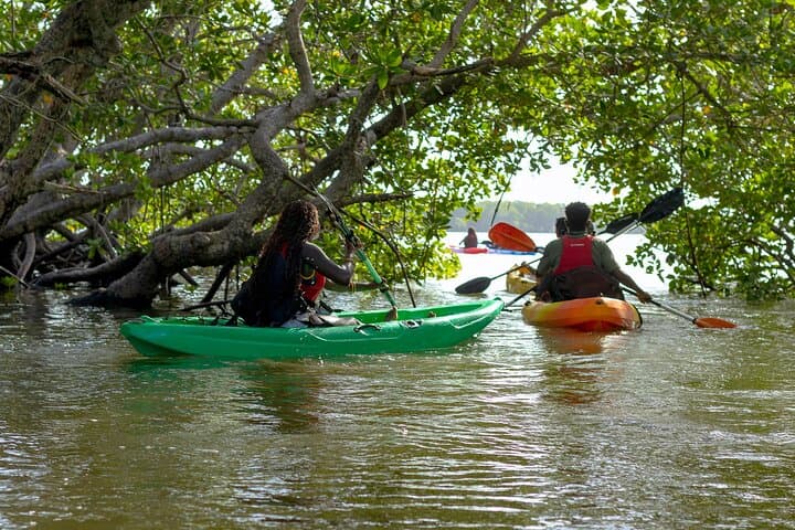 Mida Creek Mangrove Kayaking Tour in Watamu: Wildlife, Culture & Conservation Paddle