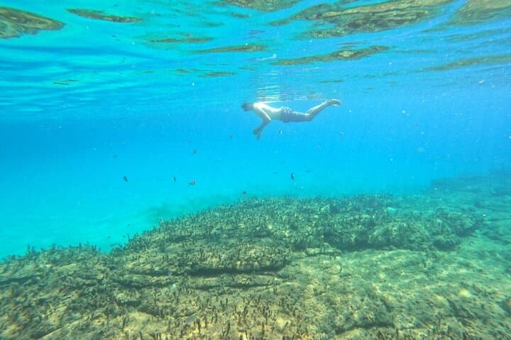 Panormos Beach Private Snorkeling Adventure — Mykonos Guided Tour photo 6