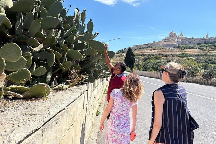 Private Full-Day Tour Around Malta: Valletta, Ħaġar Qim & Marsaxlokk photo 4