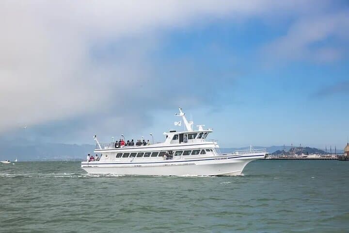 San Diego Whale & Dolphin Watching Cruise Aboard the Peregrine photo 3