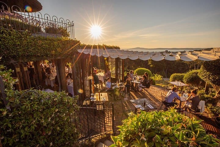 Sunset Wine & Dinner Tour on Waiheke Island — Scenic Vineyard Evening from Auckland