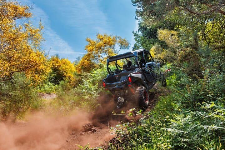 Drive-Yourself Buggy Tour in Peneda-Gerês: 2-Hour Off-Road Adventure from Arcos de Valdevez photo 2