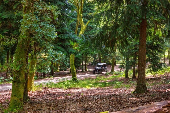 Drive-Yourself Buggy Tour in Peneda-Gerês: 2-Hour Off-Road Adventure from Arcos de Valdevez photo 4