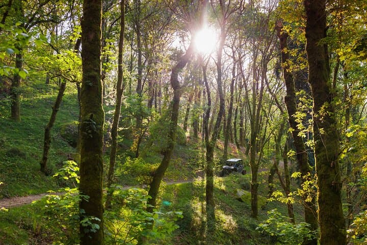 Off-Road Buggy Adventure in Peneda-Gerês: 1-Hour Arcos de Valdevez Tour photo 2
