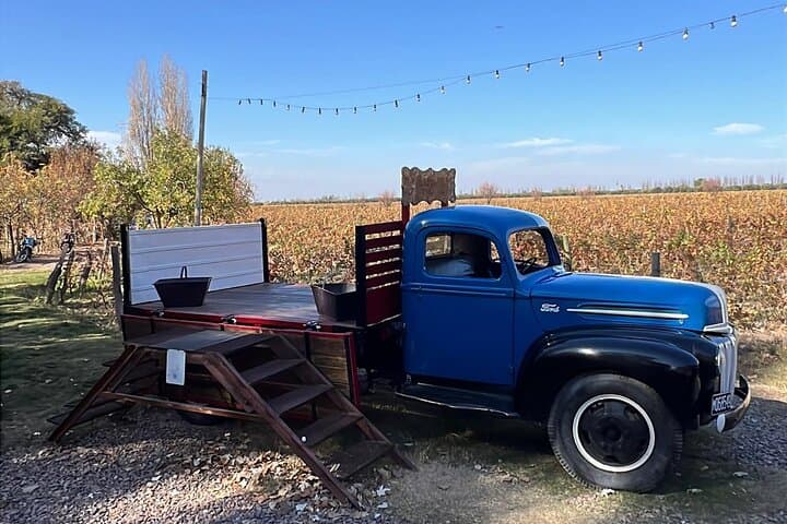 Mendoza Food and Wine Private Tour: Wineries, Olive Groves & Lunch photo 2