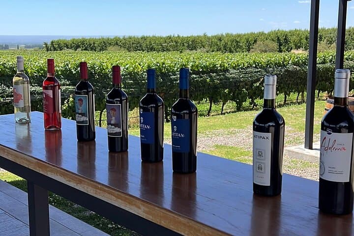 Mendoza Food and Wine Private Tour: Wineries, Olive Groves & Lunch