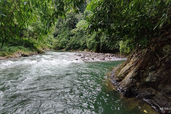 3-Day Bukit Lawang Jungle Trek: Overnight Camping, Orangutan Encounters & Tube Raft Return photo 4