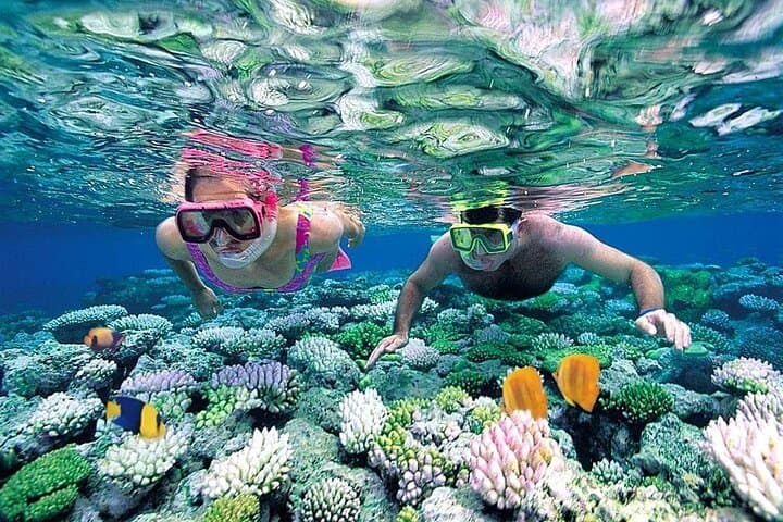 Experience the Nha Trang Island Hopping Adventure