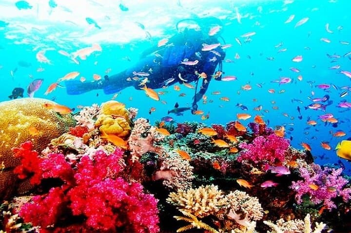 Experience the Nha Trang Island Hopping Adventure photo 6