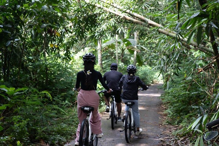 E-Bike Villages & Jungle Ride in North Ubud photo 3