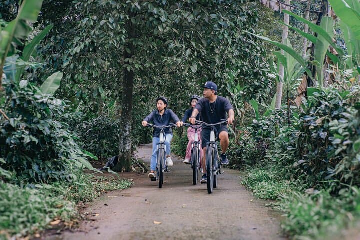 E-Bike Villages & Jungle Ride in North Ubud