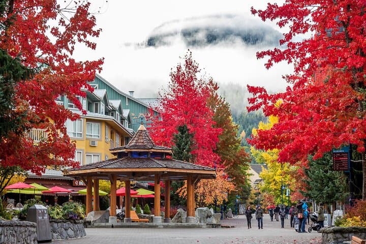 Sea-to-Sky Day Trip: Whistler with Shannon & Brandywine Falls from Vancouver photo 4
