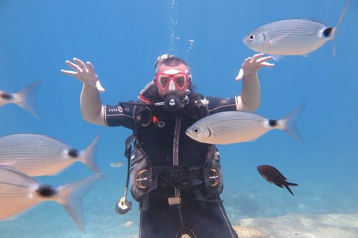 Discover Fethiye: Beginner Scuba Diving Trip with Mermaid Diving photo 5