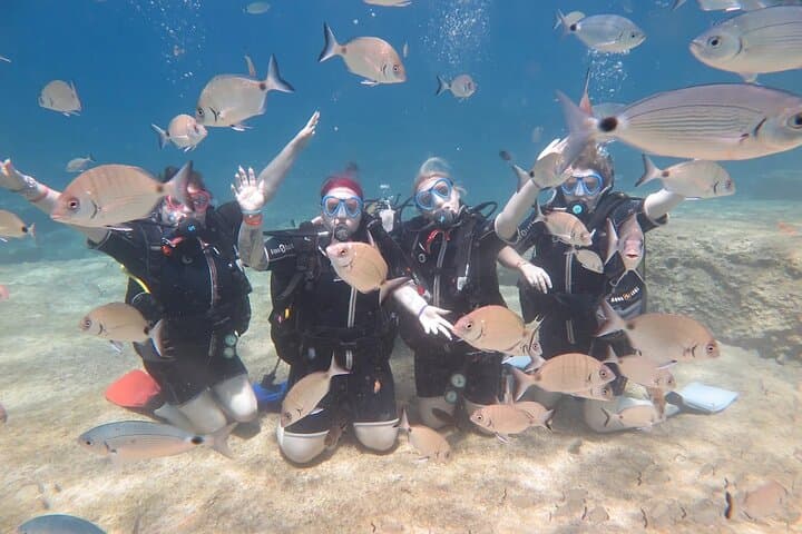 Discover Fethiye: Beginner Scuba Diving Trip with Mermaid Diving photo 4