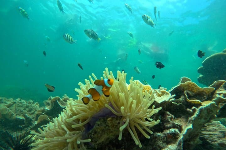 Low-Season Ko Lipe 6-Island Snorkel Tour: Best June–Oct Spots & Tips photo 2