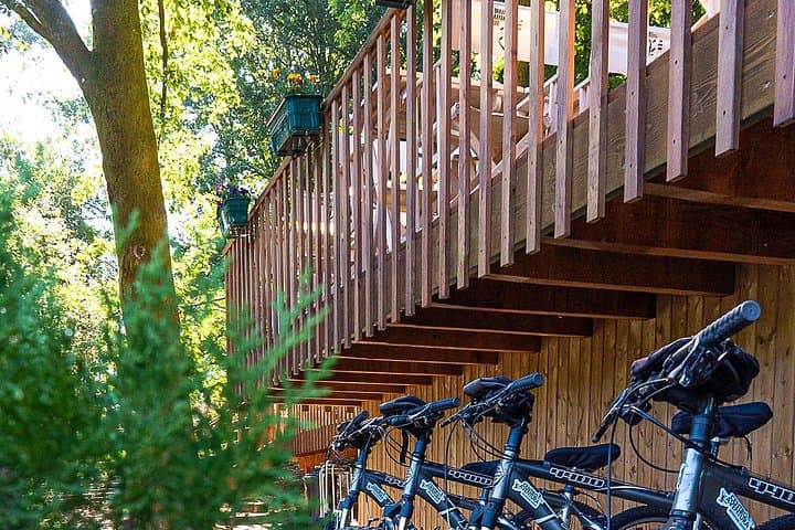 E-Bike and Mountain Bike Rentals in Lavoeira — Explore Northern Portugal by Bike