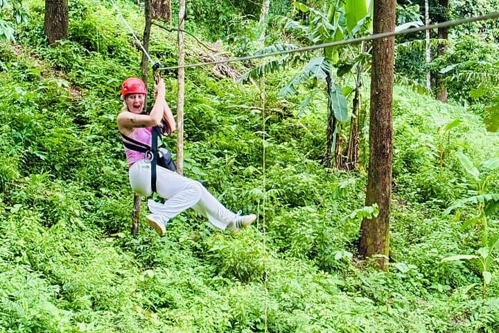 Chiang Mai 3-in-1: Zipline, Ethical Elephant Visit & Bua Thong (Sticky) Waterfall Day Trip photo 4