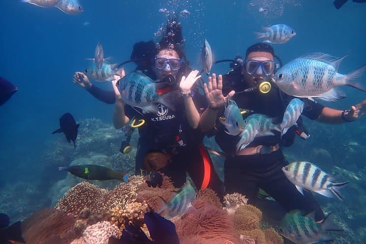 Nha Trang Coral Reefs Scuba Diving Tour with Lunch (Hon Mun Day Trip) photo 1