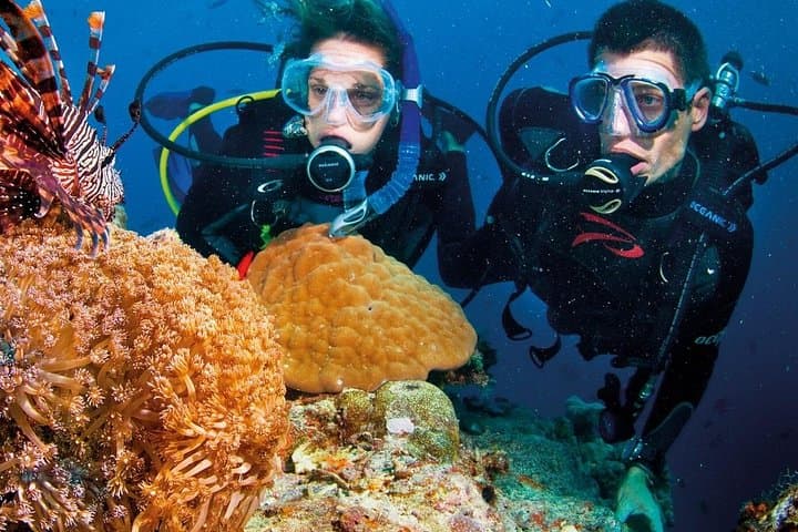 Nha Trang Coral Reefs Scuba Diving Tour with Lunch (Hon Mun Day Trip) photo 3