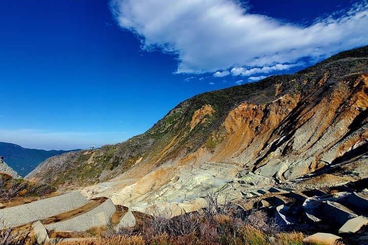 Hakone Full-Day Private Tour from Shimizu Port — Customizable Day Trip to Lake Ashi, Owakudani & Open-Air Museum photo 5