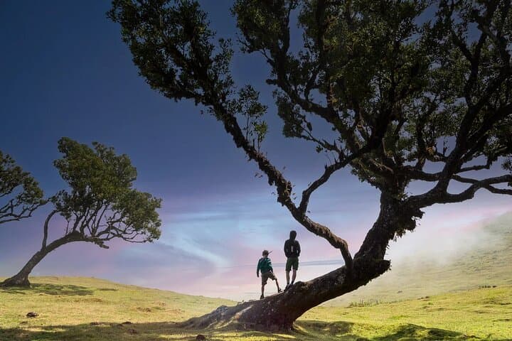 Madeira Hiking Holiday: 8-Day Guided Hikes from Funchal photo 5