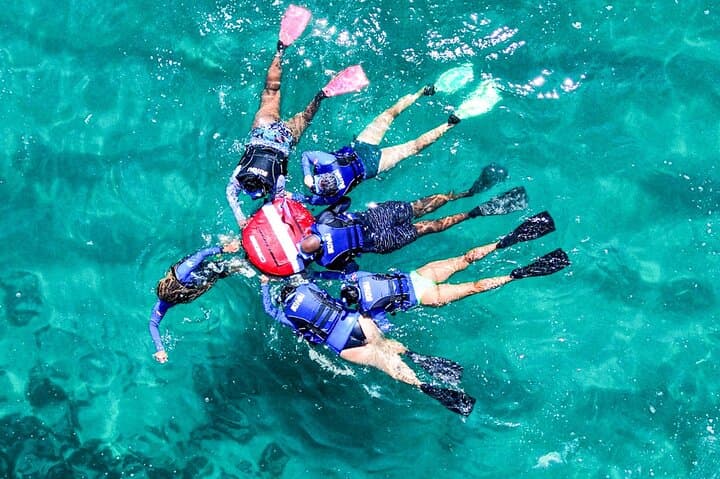 Guided Snorkel Diving in Arraial do Cabo — Beginner-Friendly Marine Wildlife Tour