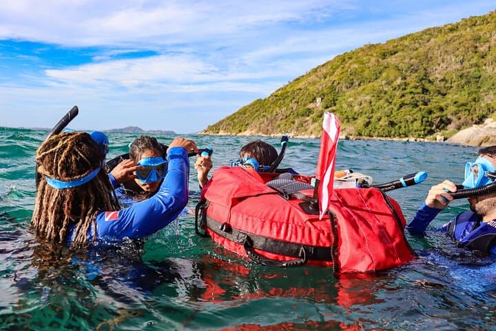 Guided Snorkel Diving in Arraial do Cabo — Beginner-Friendly Marine Wildlife Tour photo 4
