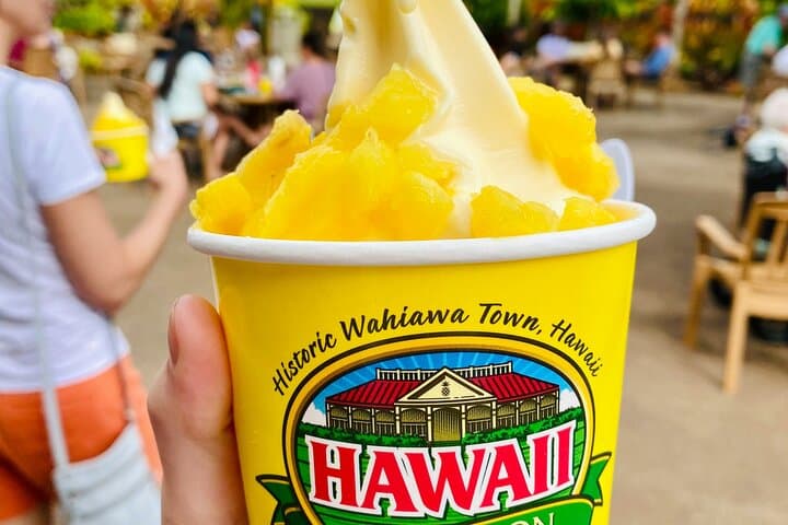 Circle Island Half-Day: Private Oahu Highlights from Waikiki