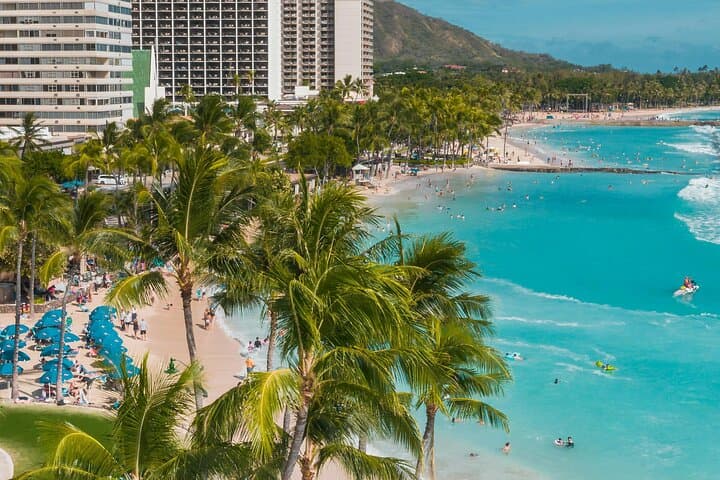 Circle Island Half-Day: Private Oahu Highlights from Waikiki photo 6