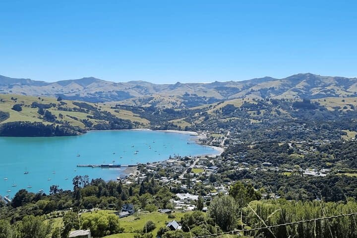 Akaroa Day Tour: Dolphins, Cheese & Alpacas on Banks Peninsula photo 2