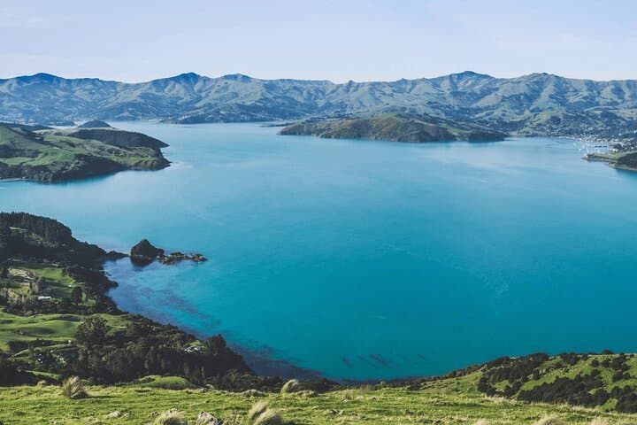 Akaroa Day Tour: Dolphins, Cheese & Alpacas on Banks Peninsula photo 3