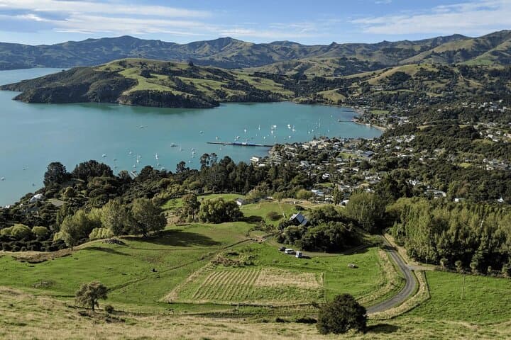 Akaroa Day Tour: Dolphins, Cheese & Alpacas on Banks Peninsula photo 5