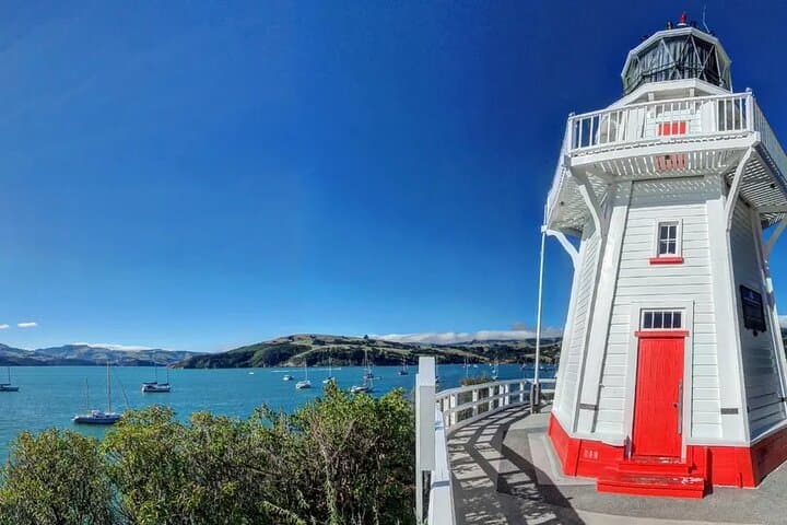 Akaroa Day Tour: Dolphins, Cheese & Alpacas on Banks Peninsula photo 6