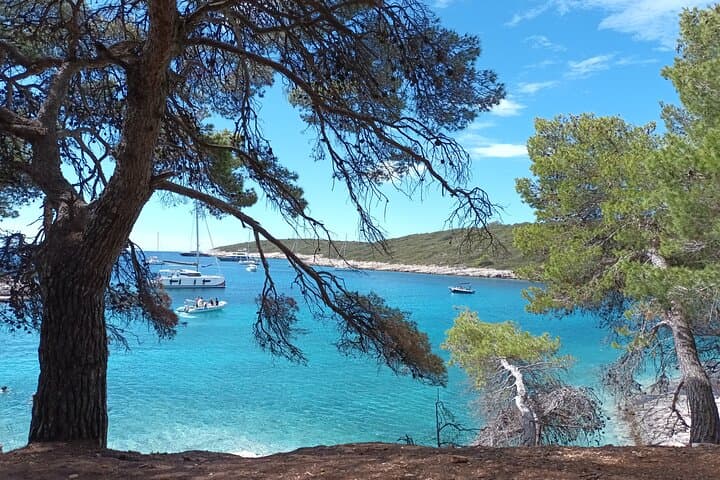 Exploring the Pakleni Islands: A Serene Boat Tour photo 5