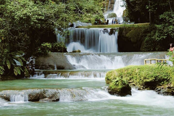 YS Falls and Black River Safari: South Coast Day Trip from Negril photo 4