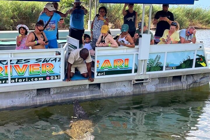 South Coast Adventure: YS Falls, Black River Safari & Pelican Bar photo 3