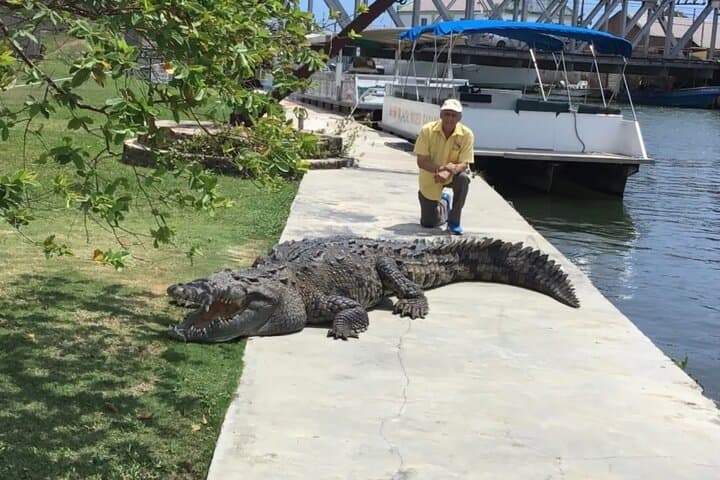 South Coast Adventure: YS Falls, Black River Safari & Pelican Bar photo 4