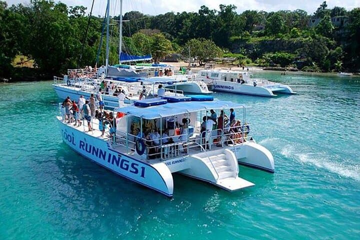 Dunn’s River Falls & Catamaran Cruise from Montego Bay: Climb, Swim, and Sail in a Day