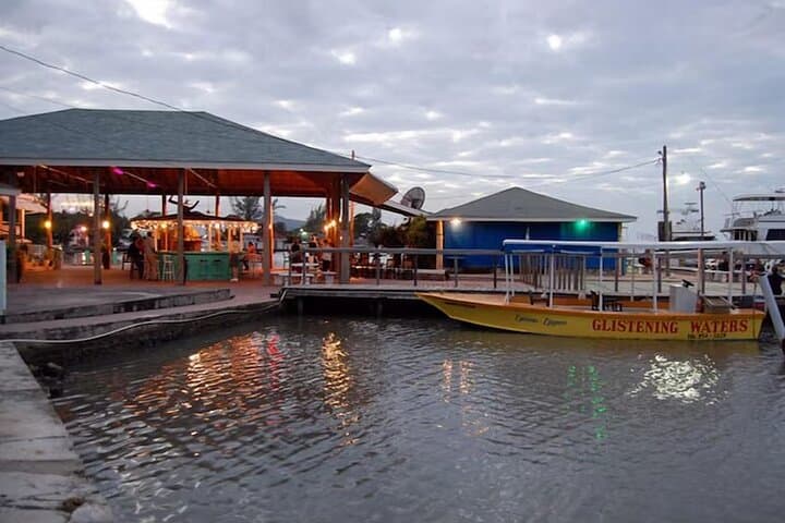 Glistening Waters: Luminous Lagoon Night Boat Tour in Falmouth, Jamaica photo 4