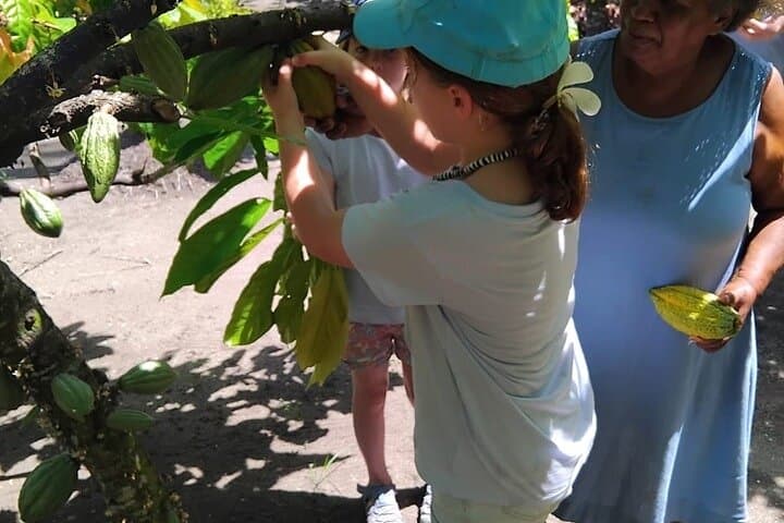Solomon Chocolate Trail: Cocoa-Farm Tour & Bean-to-Bar Demo near Honiara