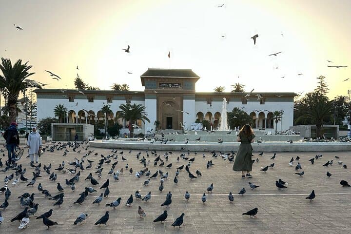 7-Day Morocco Adventure: Casablanca to the Sahara and Marrakech photo 6