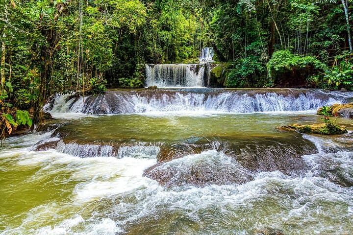 Mayfield Falls Eco-Adventure — Waterfall Walk & River Pools in Westmoreland photo 3