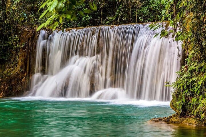 Mayfield Falls Eco-Adventure — Waterfall Walk & River Pools in Westmoreland photo 6