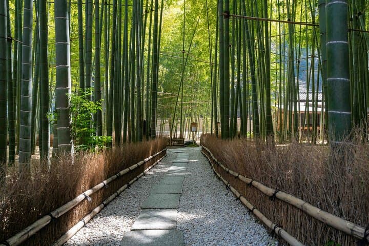 Kamakura Old Capital E-Bike Tour: Temples, Bamboo & Coastal Rides photo 3