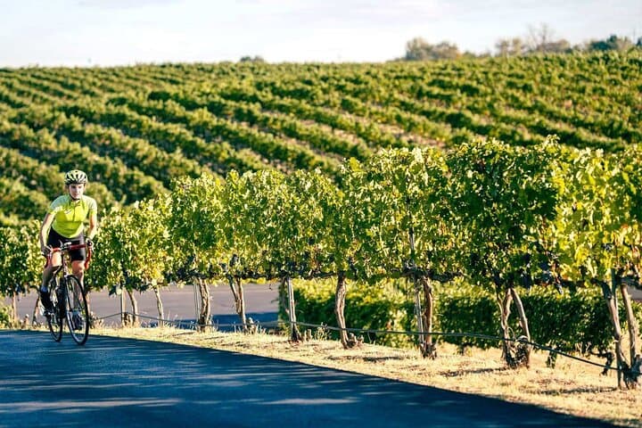 Seattle to VanArnam Vineyards Day Trip — Yakima Valley Wine Tasting photo 2