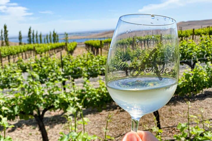 Seattle to VanArnam Vineyards Day Trip — Yakima Valley Wine Tasting photo 4