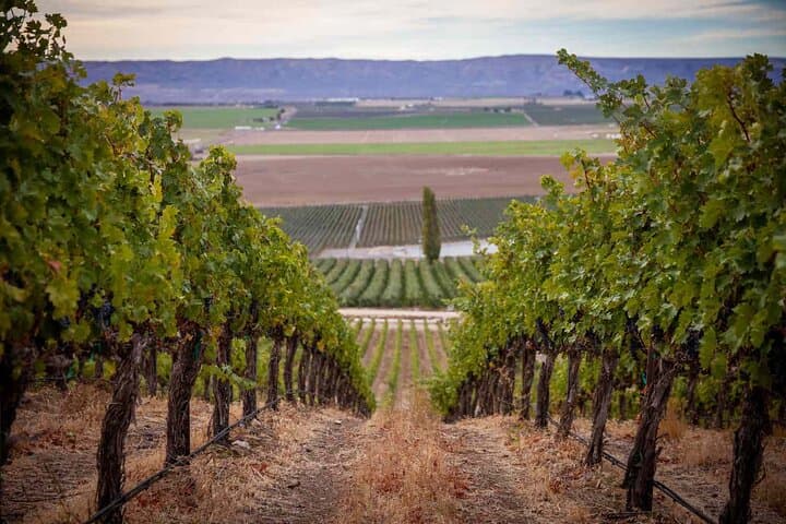Seattle to VanArnam Vineyards Day Trip — Yakima Valley Wine Tasting photo 5
